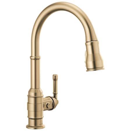 Delta Broderick Single Handle Pull-Down Kitchen Faucet 9190-CZ-DST