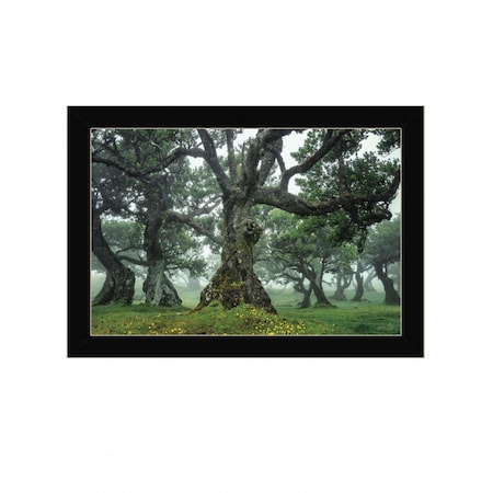 Homeroots Enchanted Forest I 1 Black Framed Print Wall Art 416189