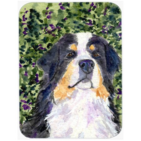 Carolines Treasures Bernese Mountain Dog Glass Cutting Board- Large SS8830LCB