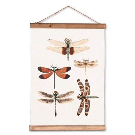 Abbott Collection 14.5 x 20 in. Dragonflies Canvas Scroll, Ivory AB-27-SCROLL-DB-171