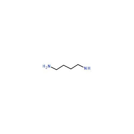 Ak Scientific 1, 4-Diaminobutane (5g), CAS 110-60-1 G690-5g