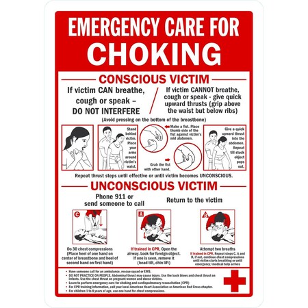 Lyle Emergency Care For Choking, Conscious Victim/, 10x14, Engineer Grade, White G-1076-EG_10x14