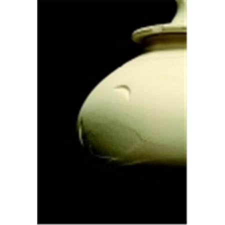 Amaco Low Fire Moist Multi-Purpose Earthenware Modeling Clay - White 25- 50 Lbs. 351452