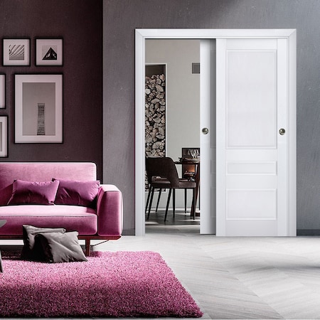 Sartodoors Sliding Closet Bypass Doors White Solid Core Modern Interior VEREGIO7411DBD-WS-36