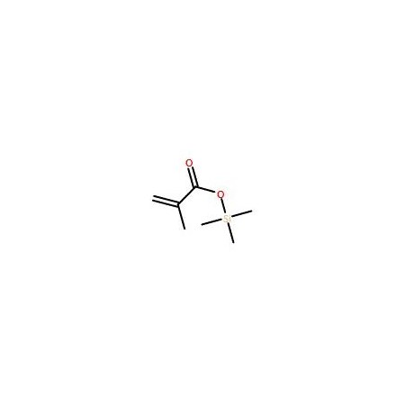 Ak Scientific Trimethylsilyl Methacrylate (stabilized with BHT) (25g), CAS 13688-56-7 9320AL-25g