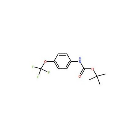 Ak Scientific tert-Butyl 4-(trifluoromethoxy)phenylcarbamate (25g), CAS 212696-37-2 7765AH-25g
