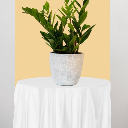 Smarty Had A Party 84 White Round Disposable Plastic Tablecloths 96 Tablecloths, 96PK 823270-WH-CASE