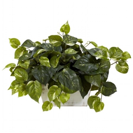 Dare2Decor Pothos with White Wash Planter Silk Plant DA2623858