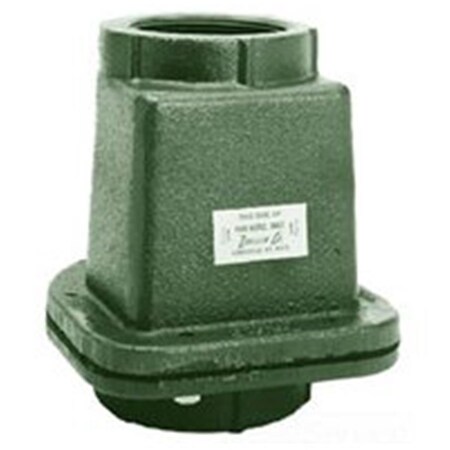 Eat-In 2 in. FNPT Cast Iron Check Valve EA2985669