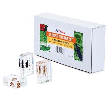 Amscope 3D Real Land Insect Specimen 3PC Kit W/ Ladybug, Beetle, Grasshopper INST-3D-2