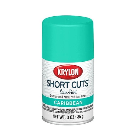 Krylon Spray Paints - Craft & Hobby Spray Paint KSCS08700