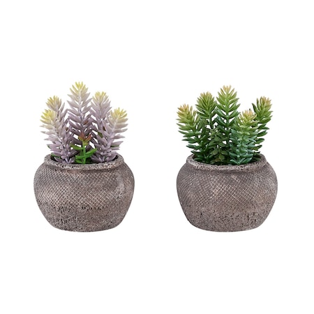 Monarch Specialties Artificial Plant, 8-in. Tall, Succulent, Table, Brown Cement Pots, Contemporary, Modern, 2PK I 9364