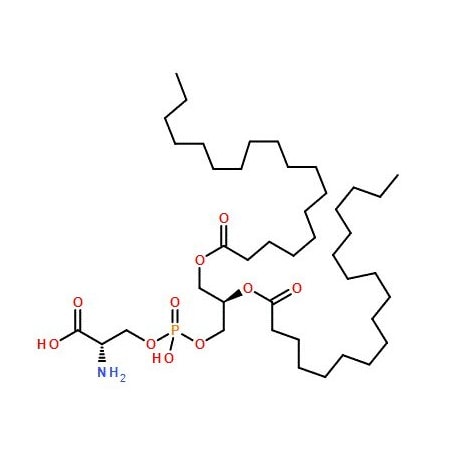 Ak Scientific L-alpha-Phosphatidyl-L-serine (100mg), CAS 39382-08-6 X8423-100mg