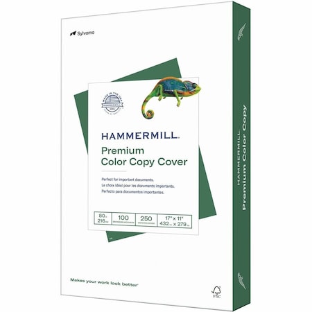 Hammermill Paper for Color 17x11 Laser, Inkjet Printable Multipurpose Card Stock White, White, 250PK HAM120037