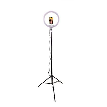 Idance 6-in-1 Media Station with BT Wireless remote control w/12 inch LED ring light MS1802