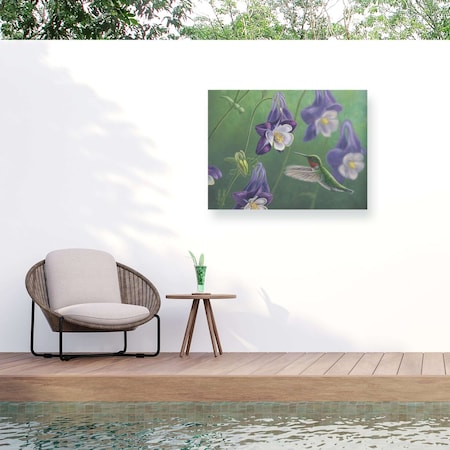 Trademark Fine Art Outdoor Canvas Art Jeff Hoff 'Hummingbird Purple' Wall Art for Patios, or Gardens GRL00517-OC1419WR