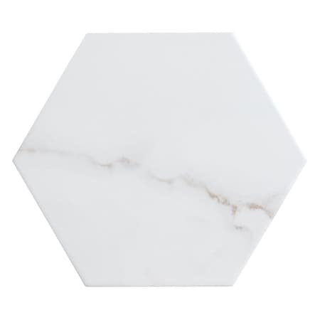 Andova Tiles Porlan 8-in. x 9-in. Hexagon Marble Look Matte Porcelain Wall & Floor Tile, 25PK ANDPOR1260