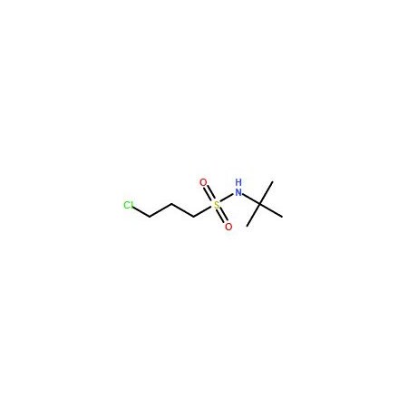 Ak Scientific 3-Chloropropane-1-sulfonic acid tert-butylamide (1g), CAS 63132-85-4 9594AB-1g