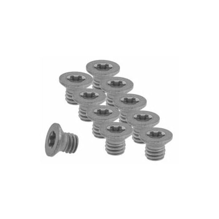 Garant Pack of Insert Screws, 10 Pieces 219950