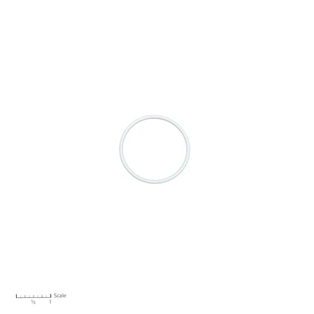 Bedford Precision Parts Teflon O-Ring Replaces Graco 164891 15-172