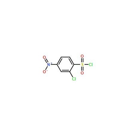 Ak Scientific 2-Chloro-4-nitrobenzene-1-sulfonyl chloride (1g), CAS 20201-03-0 Z4385-1g