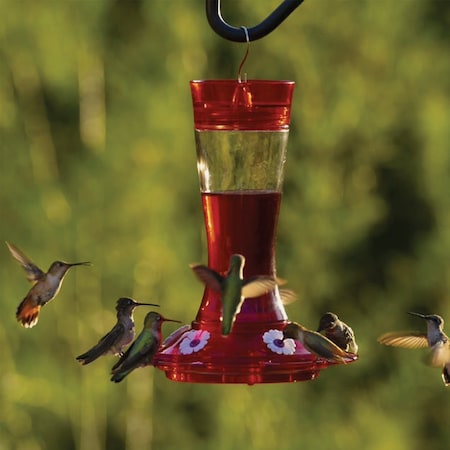 More Birds Garnet 20 Oz. Glass Hummingbird Feeder 36-GAR