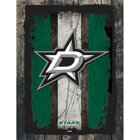 Holland Bar Stool Co Dallas Stars 15" x 20" Canvas Wall Art LCnvs02-1520DalSta