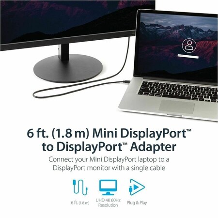 Startech.Com 6 ft Mini DisplayPort to DisplayPort 1.2 Adapter Cable M/M - DisplayPort 4k with HBR2 support - 6 MDP2DPMM6