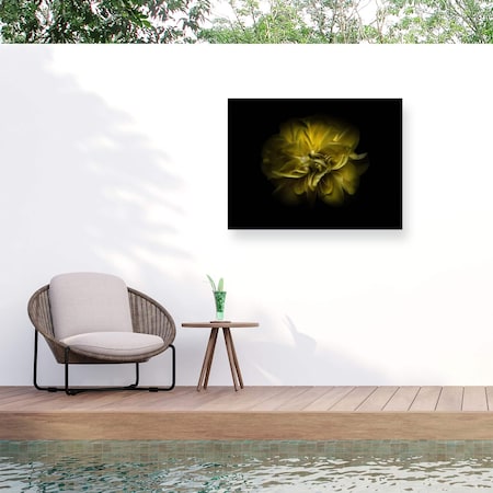 Trademark Fine Art Outdoor Canvas Art Brian Carson 'Backyard Flowers 67' Wall Art for Patios, or Gardens BRC00066-OC1824WR