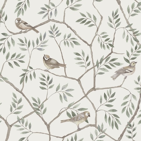 A-Street Prints Crossbill Off White Branches Wallpaper 2948-27015