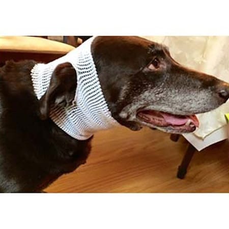 Jorgensen Laboratories JorNet Tubular Elastic Retainer Net - 9 J1533D