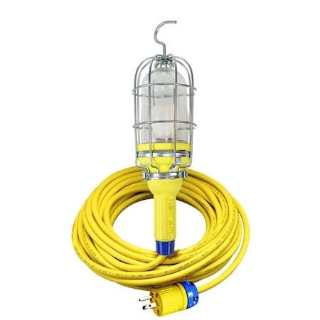 Ericson LITE-EXTENSION w/70NG50FT CRD12V BULB 1948-12