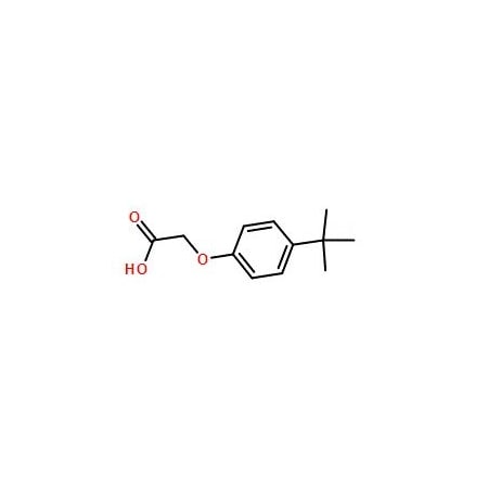 Ak Scientific 4-tert-Butylphenoxyacetic acid (5g), CAS 1798-04-5 6021AD-5g