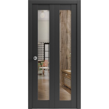 Sartodoors Sliding Closet Bi-fold Doors, Lucia 2166 Matte Black with Clear Glass, Sturdy Tracks Moldings Trim LUCIA2166BF-BLK-56 x 96 (2* 28x96)