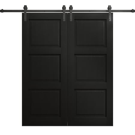 Sartodoors Modern Double Barn Door 56 x 96 inches, Ego 5010 Painted Black Oak, 13FT Rail Track Set, Solid Pa EGO5010DB-CHK-5696
