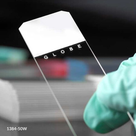 Globe Scientific Microscope Slide, White, PK1440 1384-50W