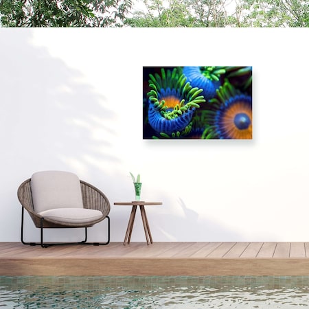 Trademark Fine Art Outdoor Canvas Art Santiago Pascual Buye The Colors Of The Reef Ii Wall Art for Patios or Gardens 1X10263-OC1219WR
