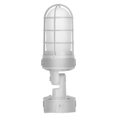 Ledvance/ Sylvania Floodlights, RoHS JELYJAR2AFROSTEDLENS Frosted lenses