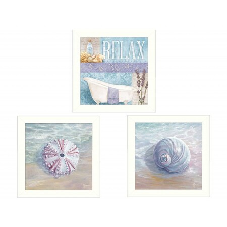 Homeroots Set Of Three Shells I White Framed Print Bathroom Wall Art, 3PK 405679