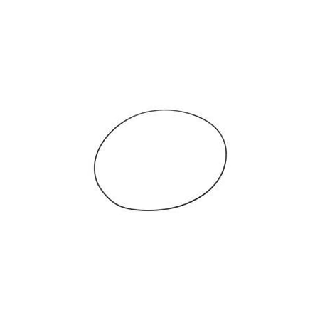 Skyjack REPLACEMENT O-RING 59793521