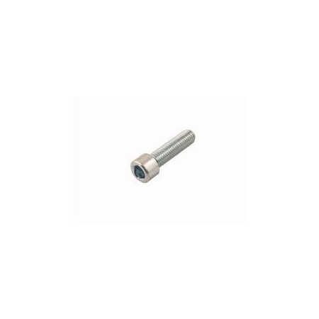 Raymond REPLACEMENT SCREW- SHCS M12 X 45 1040923-006