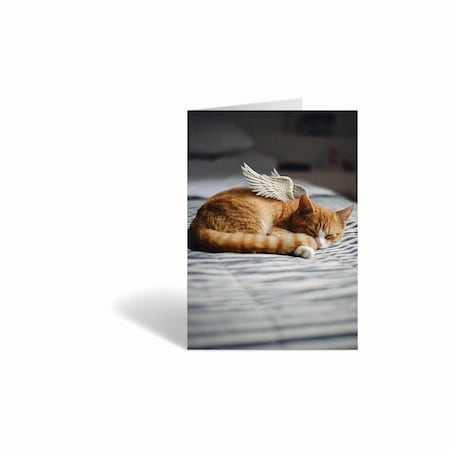 Jorgensen Laboratories Sympathy Cards, Freedom, 10PK J1483B