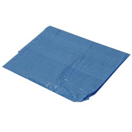 Harpster Of Philipsburg 6 x 8 ft. Light Duty 2.9 oz Tarp, Blue B335704