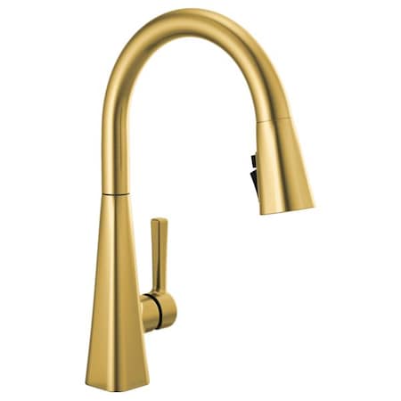 Delta Lenta: Single-Handle Pull-Down Kitchen Faucet 19802Z-GB-DST