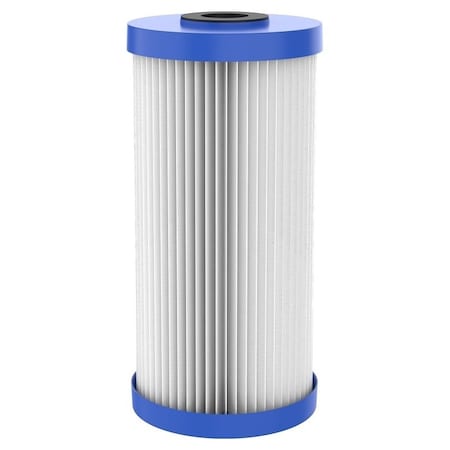 Pentair Omnifilter RS6-SS2-S06 Filter Cartridge, 30 um Filter, Polyester Filter Media, Pleated Paper RS6-SS2-S18/06
