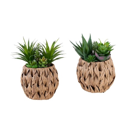 Monarch Specialties Artificial Plant, 9-in. Tall, Succulent, Table, Brown Woven Basket, Contemporary, Modern, 2PK I 9369