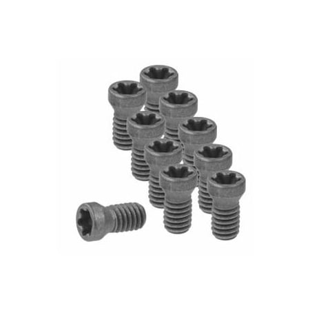 Garant Set of Insert Screws, 10 Pieces, Type: 3 219799 3