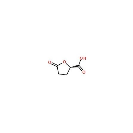 Ak Scientific (S)-(+)-5-Oxo-2-tetrahydrofurancarboxylic acid (1g), CAS 21461-84-7 Y8251-1g