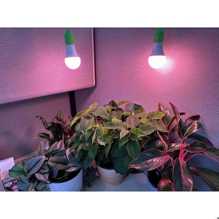 Miracle Led Strawberry Starter Grow Light Kit, UG Red Spectrum, 2PK 803395