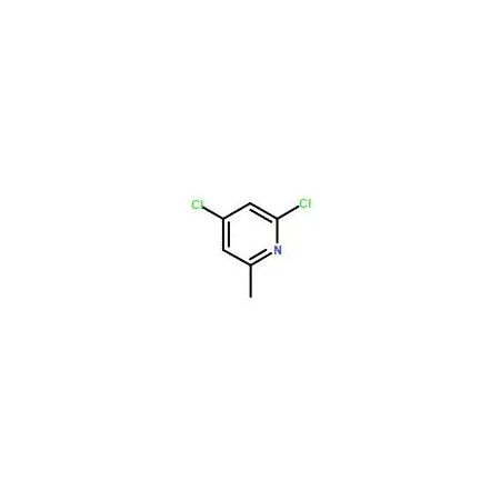 Ak Scientific 2, 4-Dichloro-6-picoline (10g), CAS 42779-56-6 X4668-10g